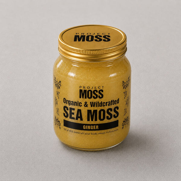 Project Moss Ginger Sea Moss Gel jar