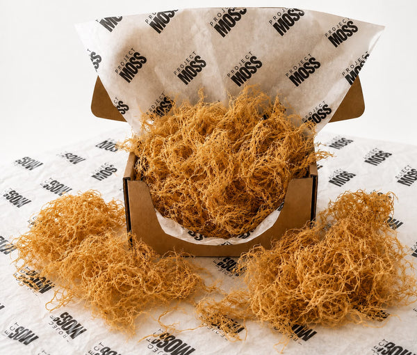 Project Moss Raw Dried Sea Moss