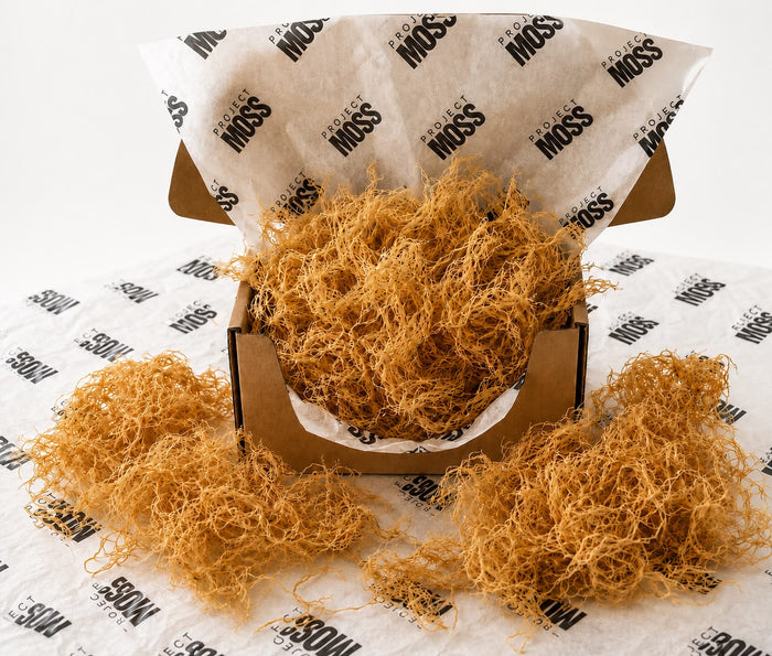 Project Moss Raw Dried Sea Moss